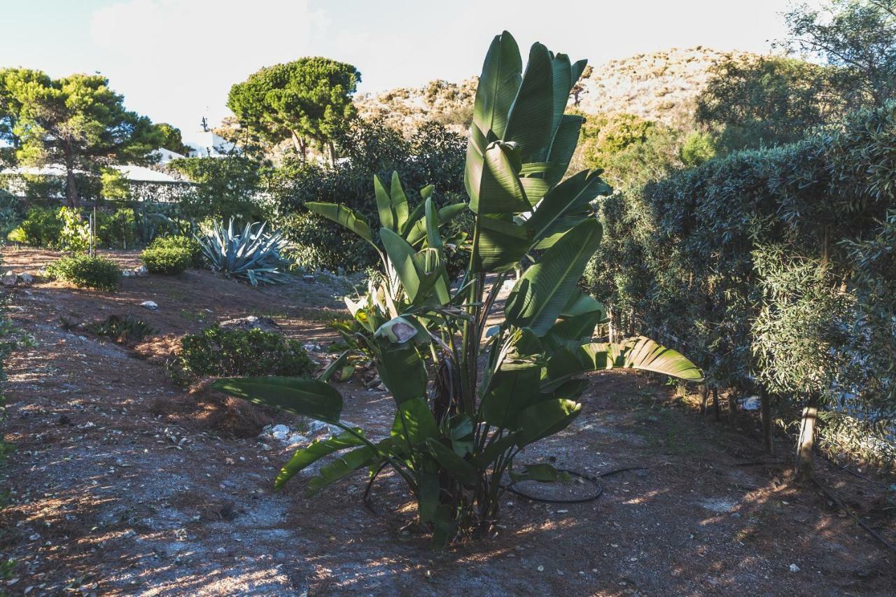 Villa Dei Sogni 弗卡诺 外观 照片